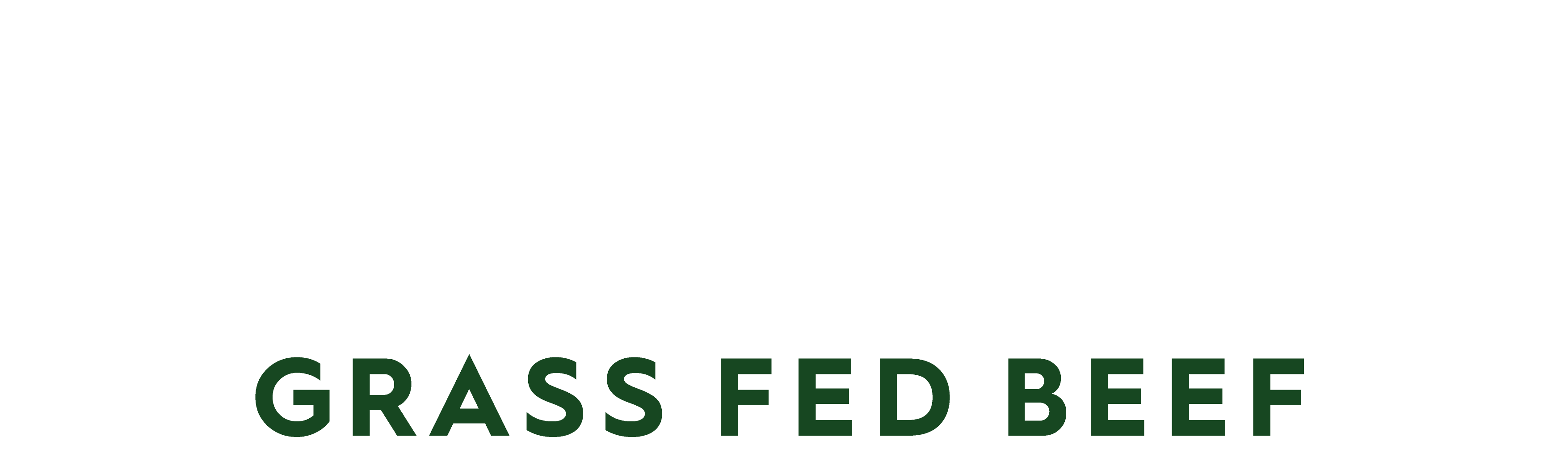 Diamantina Grass Fed Beef logo