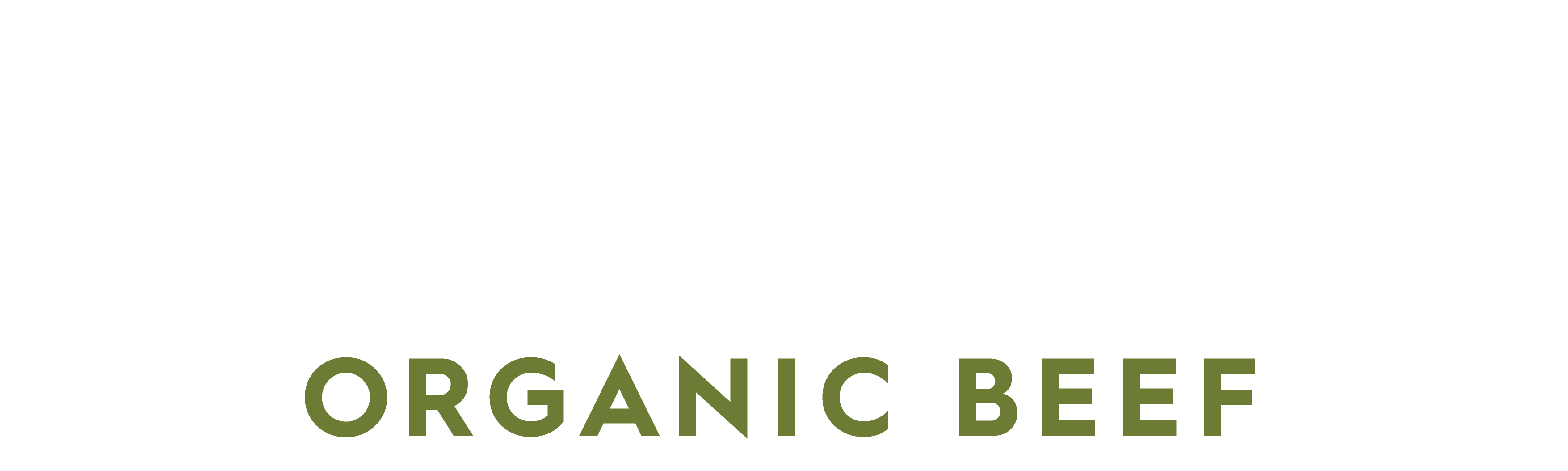 Diamantina Organic Beef logo