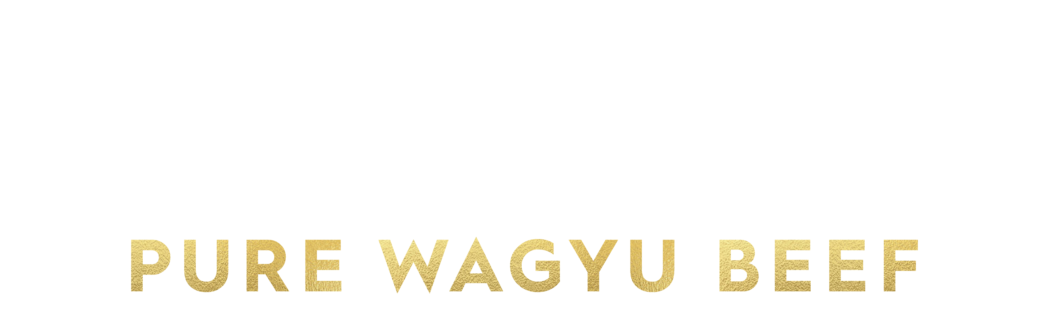 Diamantina Pure Wagyu Beef logo